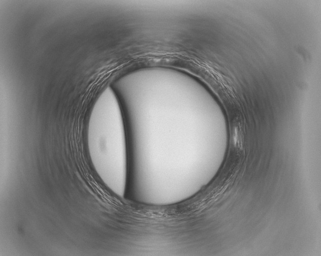 X0000116031396200911200950