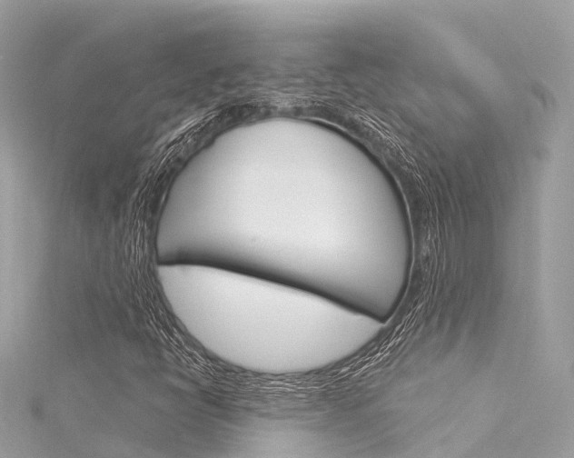 X0000116031398200911200950