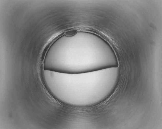 X0000116031410200911200950