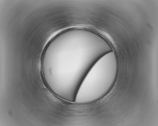 X0000116031420200911200950