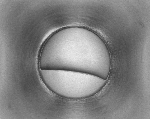 X0000116031422200911200950