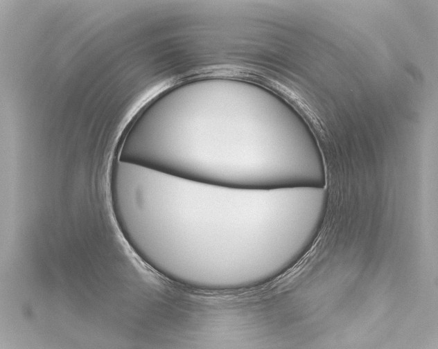 X0000116031426200911200950