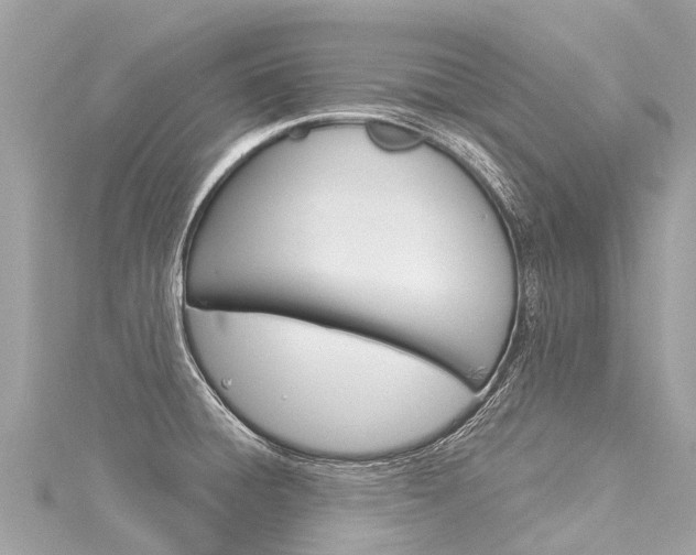 X0000116031428200911200951