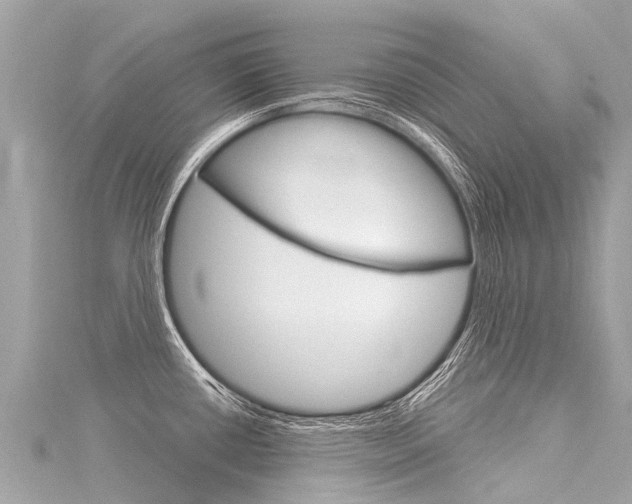 X0000116031434200911200951