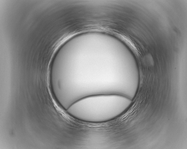 X0000116031439200911200951