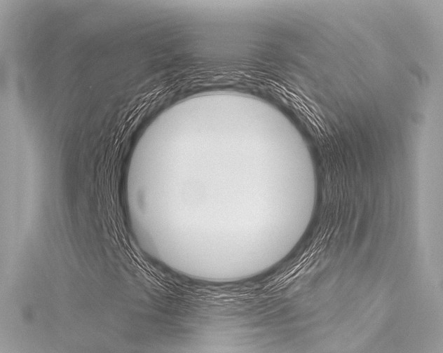X0000116031441200911200950