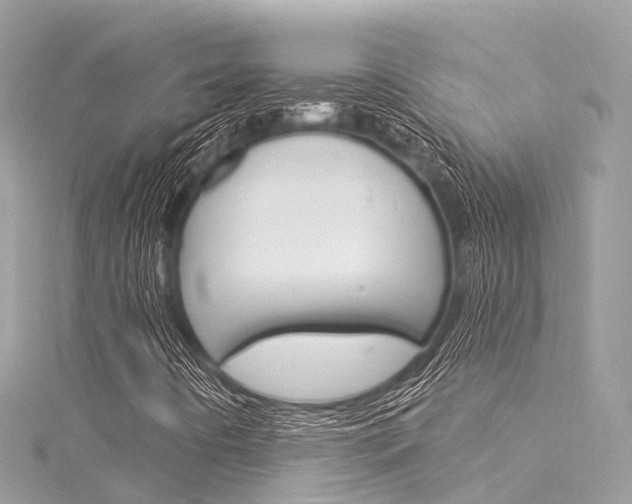 X0000116031442200911200950