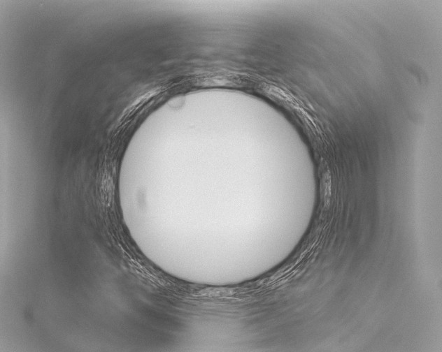 X0000116031446200911200950