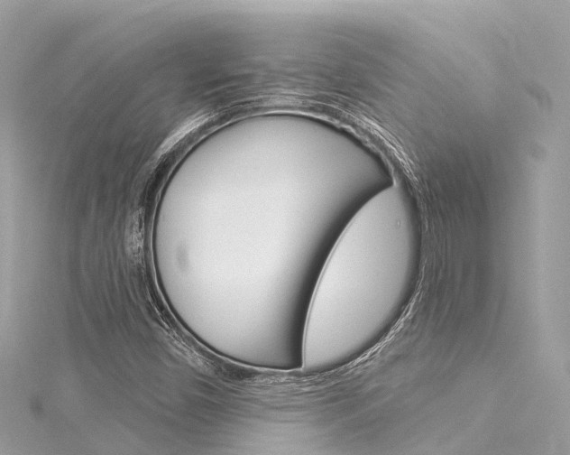 X0000116031450200911200950