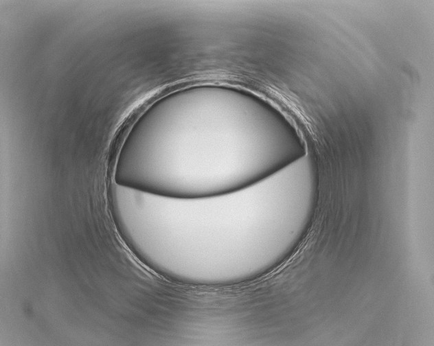 X0000116031452200911200950