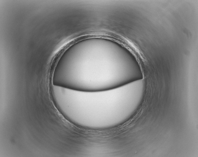 X0000116031456200911200950