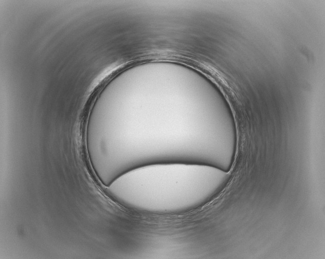 X0000116031458200911200950