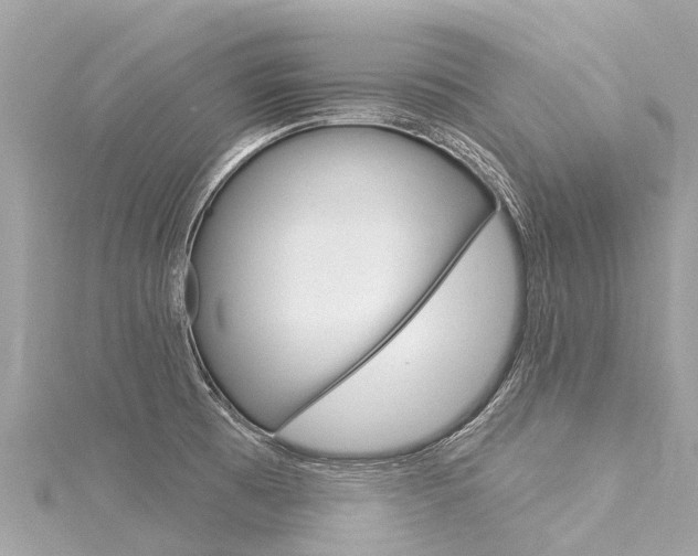 X0000116031473200911200950