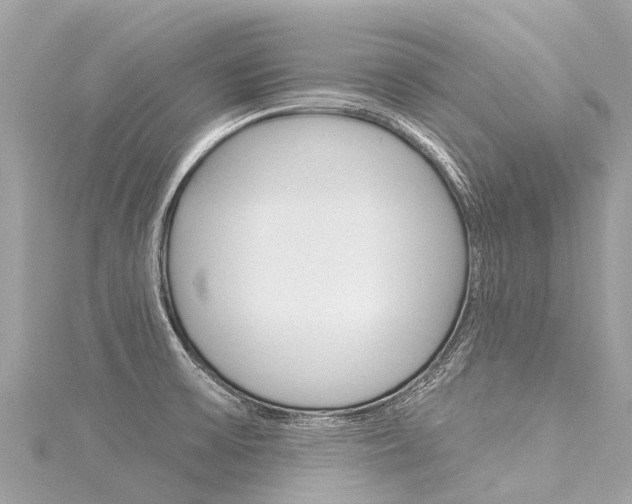 X0000116031475200911200950
