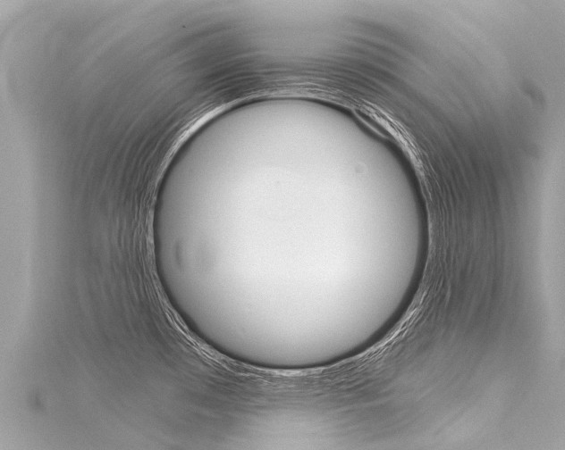X0000116031481200911200949