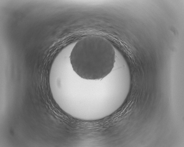 X0000116031493200911200949