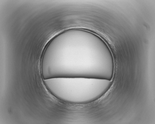 X0000116031513200911200949