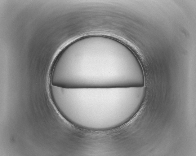 X0000116031517200911200949