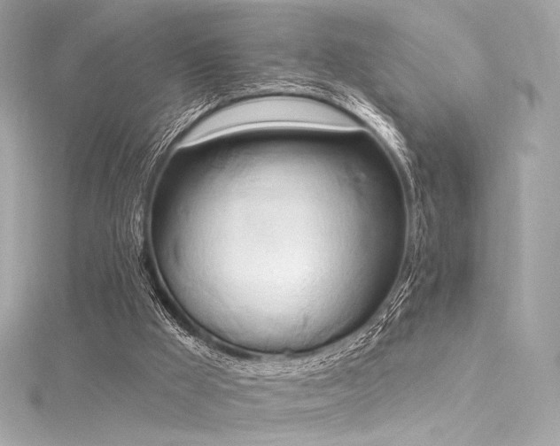 X0000116030009200911201304