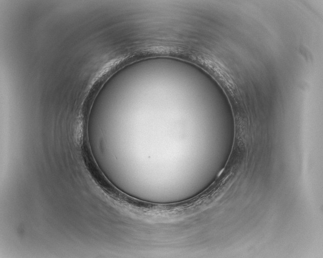 X0000116030016200911201304