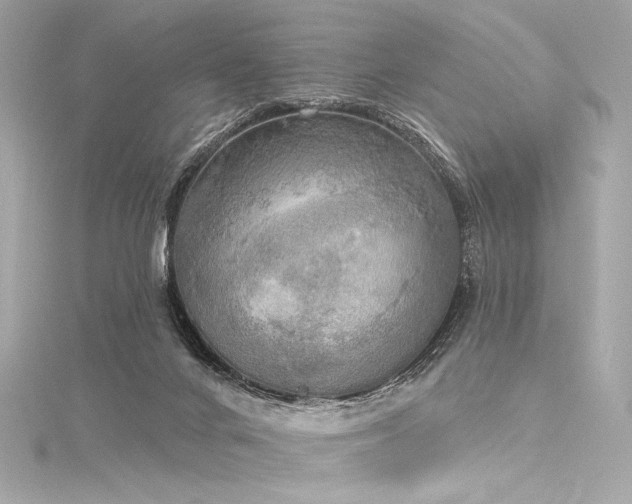 X0000116030024200911201304