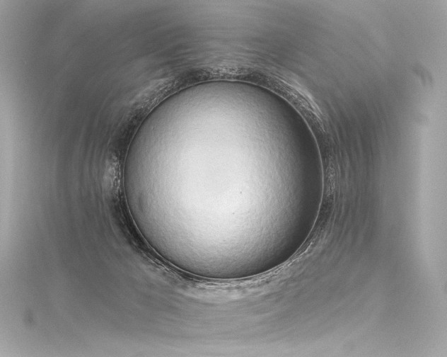 X0000116030029200911201304