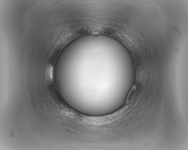 X0000116030041200911201304