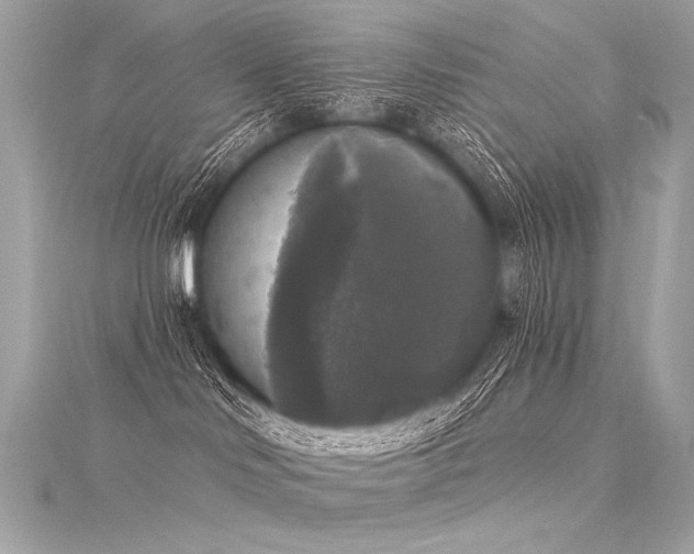 X0000116030046200911201304