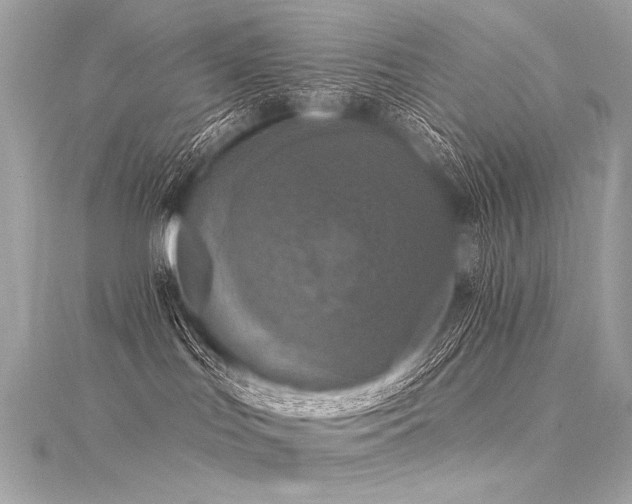 X0000116030047200911201304