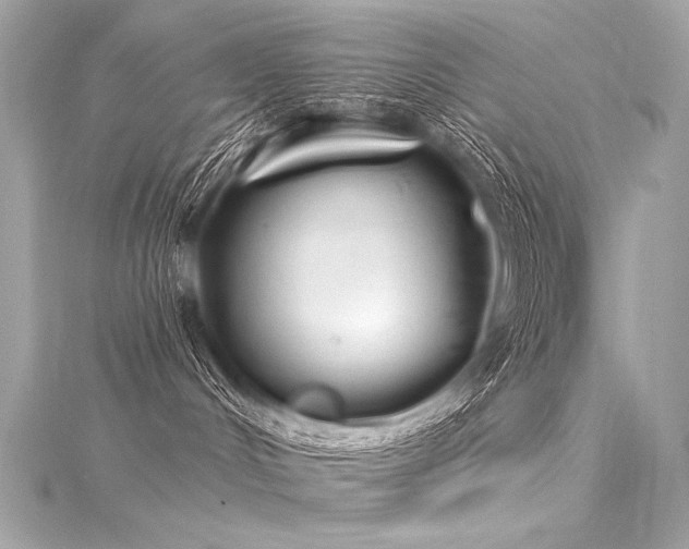 X0000116030048200911201304