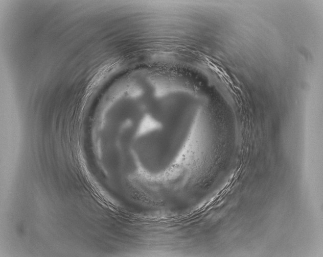 X0000116030049200911201303