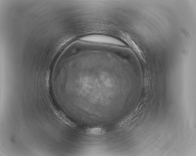 X0000116030058200911201303