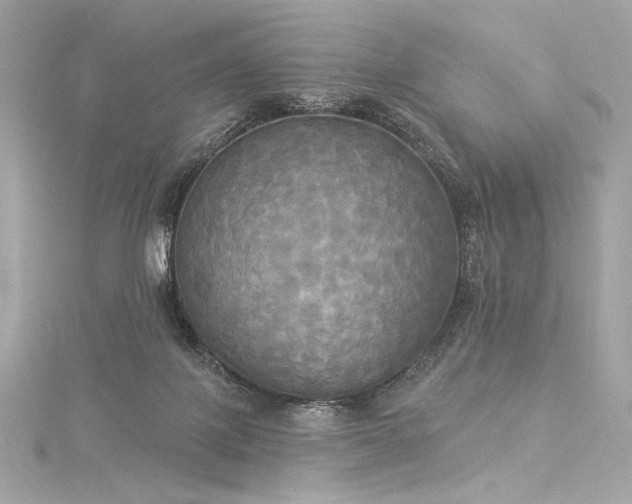 X0000116030075200911201303