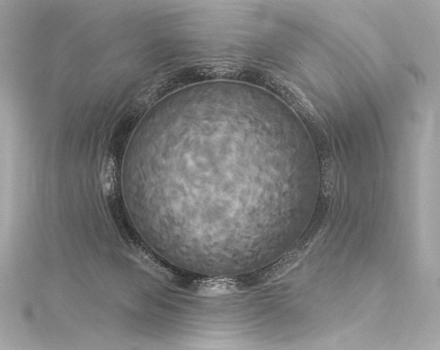 X0000116030077200911201303