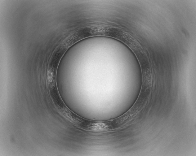 X0000116030087200911201304