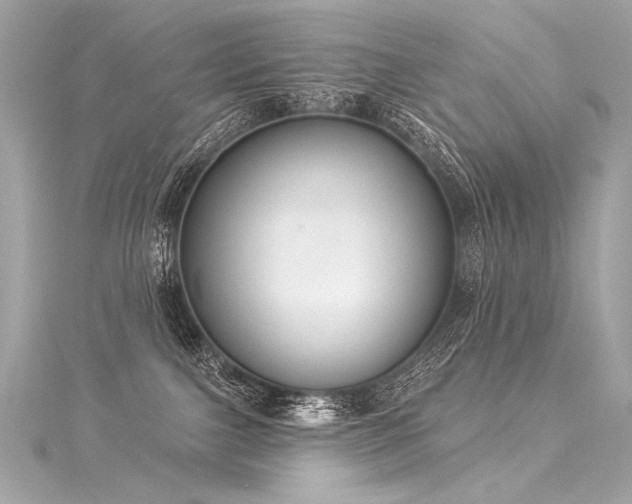 X0000116030091200911201304