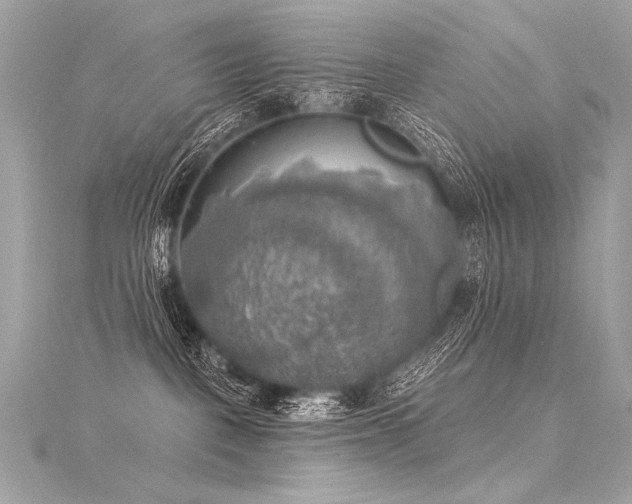 X0000116030093200911201304