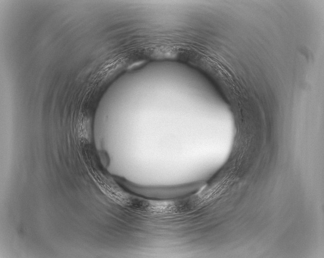 X0000116030096200911201304