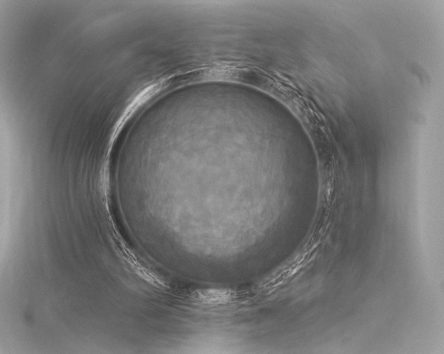X0000116030102200911201303