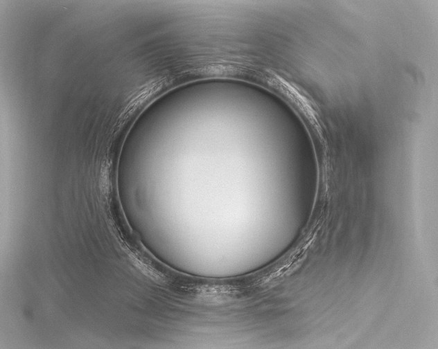 X0000116030105200911201303
