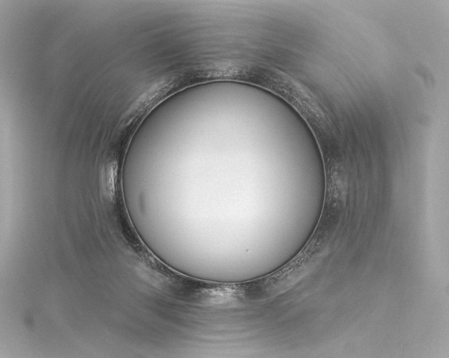 X0000116030118200911201303