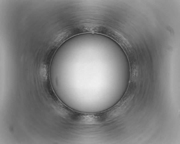 X0000116030121200911201303