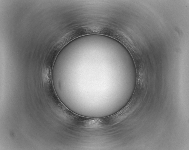 X0000116030122200911201303