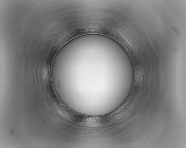 X0000116030126200911201303