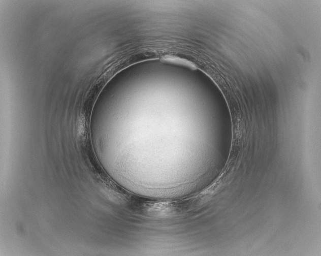 X0000116030132200911201303