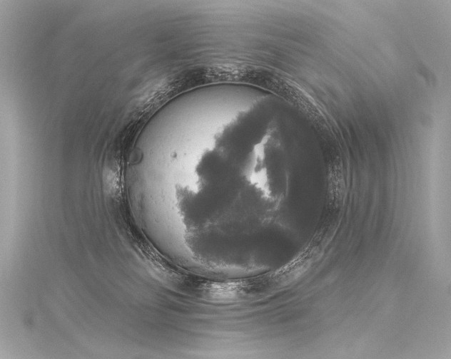 X0000116030134200911201303