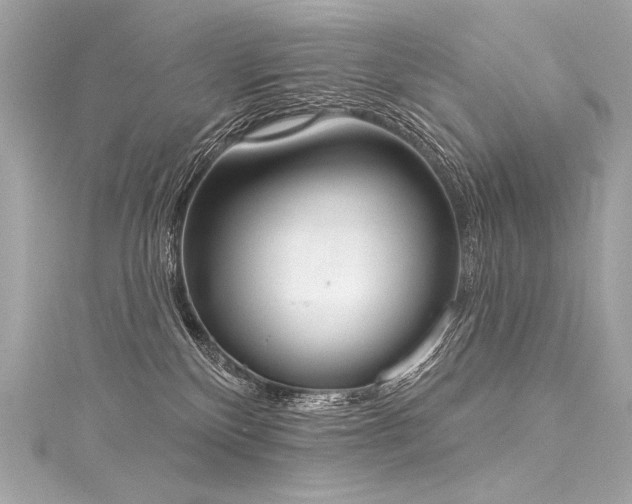 X0000116030136200911201303