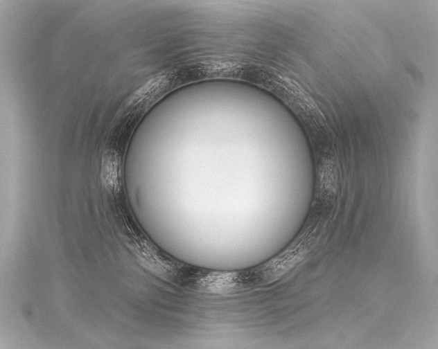 X0000116030138200911201303