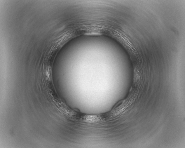 X0000116030141200911201303