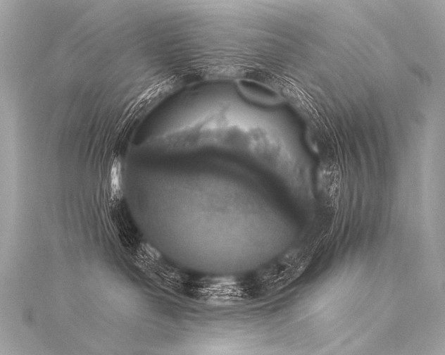 X0000116030143200911201303